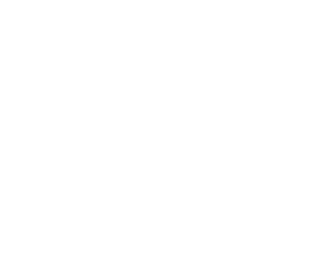 Marketingfuchs Logo Weiß