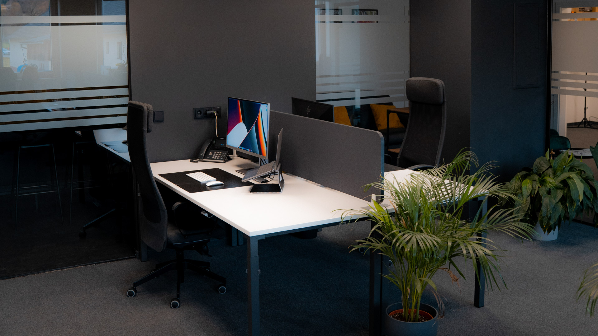 Moderner Büroarbeitsplatz mit Monitor, Telefon und ergonomischem Stuhl; Schreibtischtrennwand und viele Grünpflanzen im offenen Office.