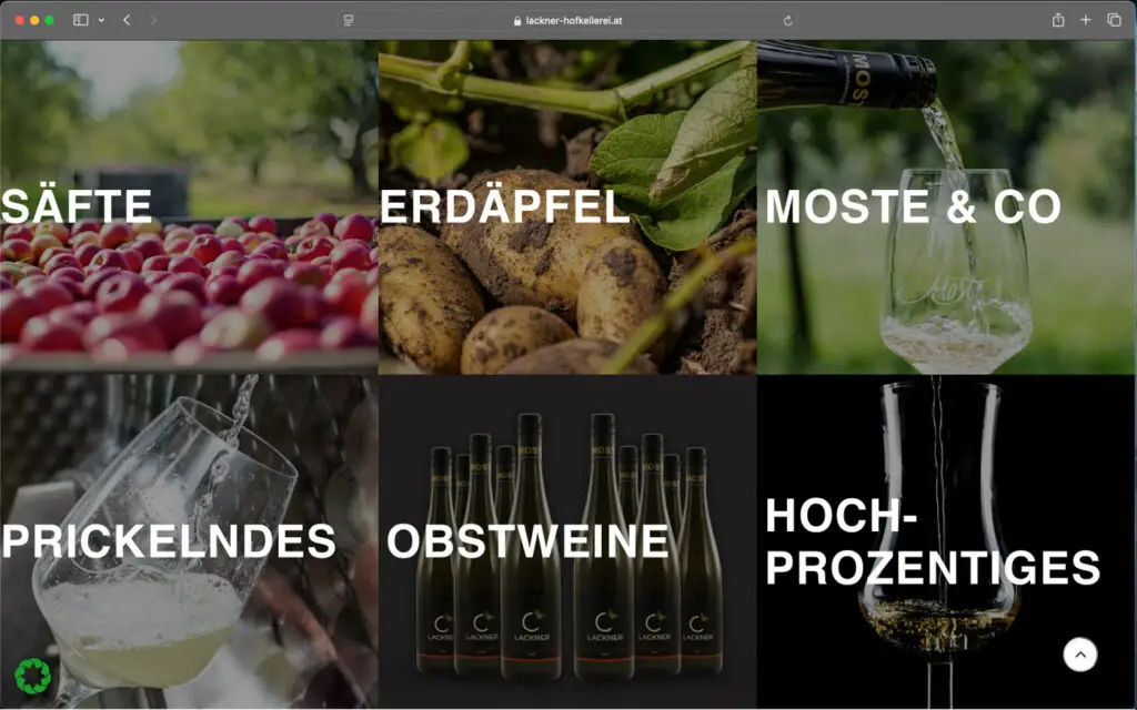 Screenshot Lackner Website