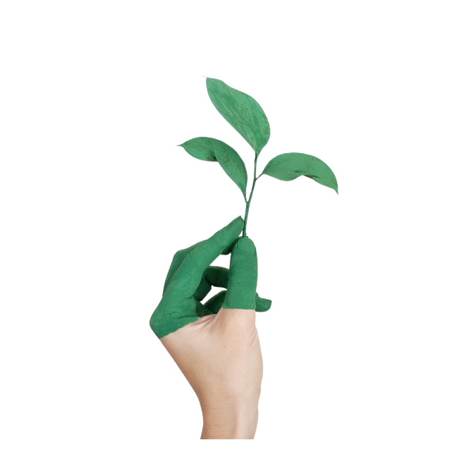 Hand, teilweise grün bemalt, hält einen kleinen Pflanzentrieb.