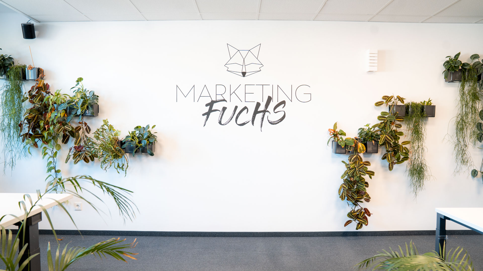 Marketing Fuchs Logo an der weißen Wand mit dekorativer Pflanzenwand.