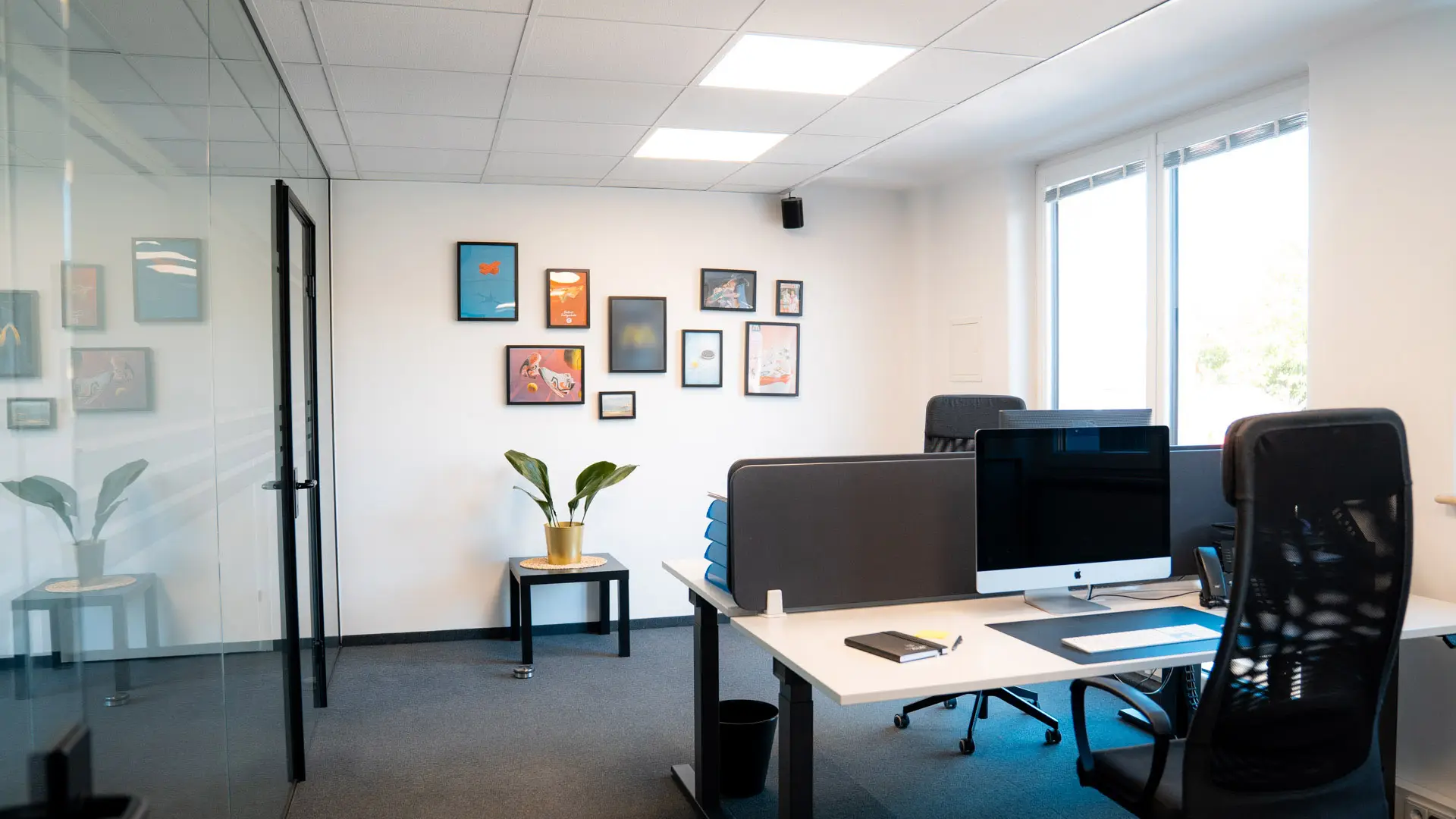 Modernes Büro mit Schreibtischen, Bildern an der Wand und Pflanzen.